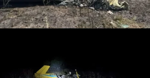 Accidente aéreo mata a 4 personas, entre ellas un famoso arquitecto y cineastas, después de que una avioneta se estrellara contra el suelo durante el aterrizaje.
