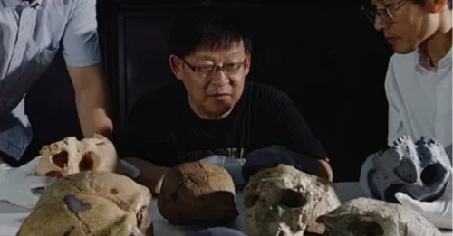 Los humanos se han vuelto aún MÁS VIEJOS: un cráneo antiguo retrotrae nuestros orígenes 400.000 años, lo que hace que el Homo sapiens tenga más de un millón de años.