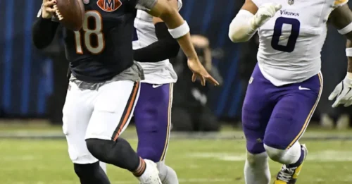 NFC ALERT: The Hidden X-Factor That Will Spark a Week 11 Upset as the Bears Stun the Vikings