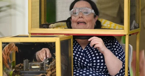 They Thought This Was a Vacation? THINK AGAIN! Meet KIOSK KEV - The New Boss of 'I'm A Celeb' Who Turned the Show Into a Living Hell in SECONDS!