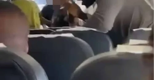 Momento impactante: estrellas de las redes sociales se enzarzan en una violenta pelea a puñetazos al abordar un vuelo mientras los pasajeros intentan separarlas.