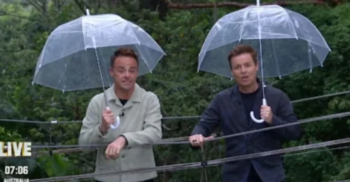 TOTAL MELTDOWN! 'I'm A Celebrity' Descends Into Hilarious Tragedy as Main Host Causes Headaches With a String of Blunders - The Truth Behind Ant McPartlin's 'Fiery' On-Air Blunders!
