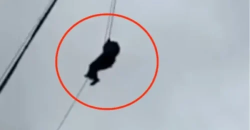 Momento aterrador en el que una familia se ve obligada a bajar con una grúa de 150 pies tras quedar atrapada durante horas en un restaurante con cena en el cielo